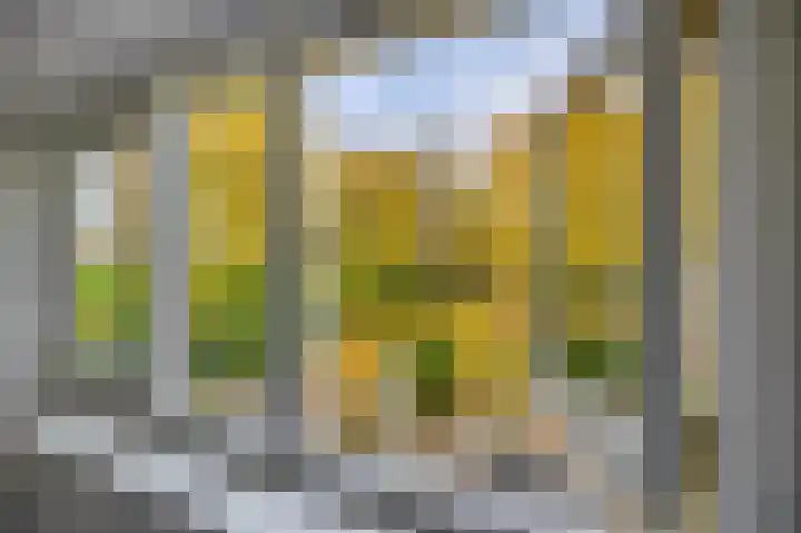 Buntweg 5 Schijndel thumbnail 34