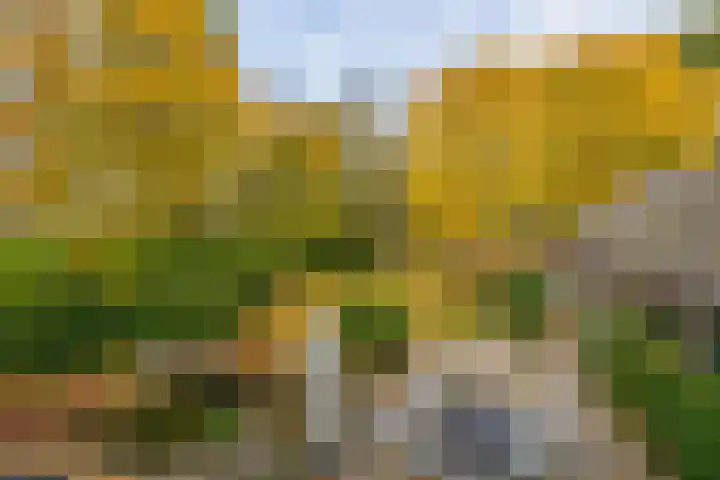 Buntweg 5 Schijndel thumbnail 35