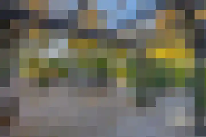 Buntweg 5 Schijndel thumbnail 37