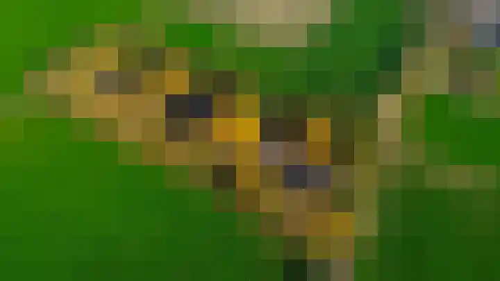 Buntweg 5 Schijndel thumbnail 4
