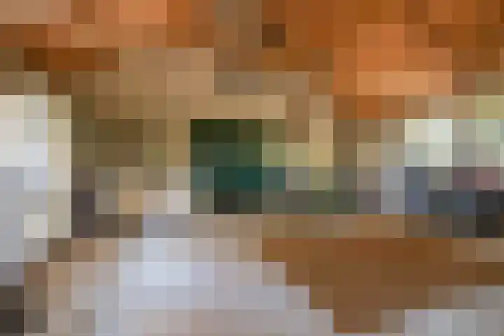 Buntweg 5 Schijndel thumbnail 43