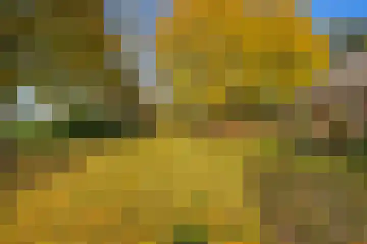 Buntweg 5 Schijndel thumbnail 45