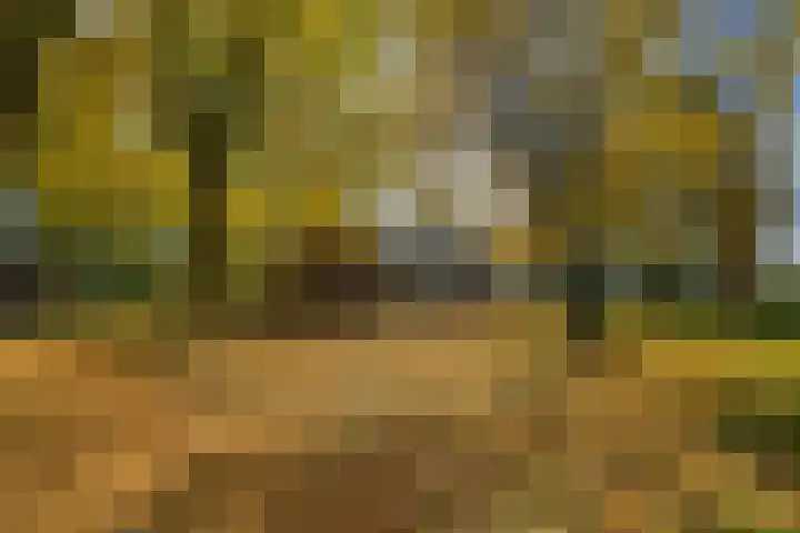Buntweg 5 Schijndel thumbnail 46