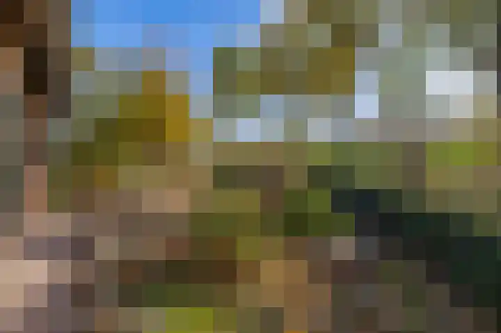 Buntweg 5 Schijndel thumbnail 54