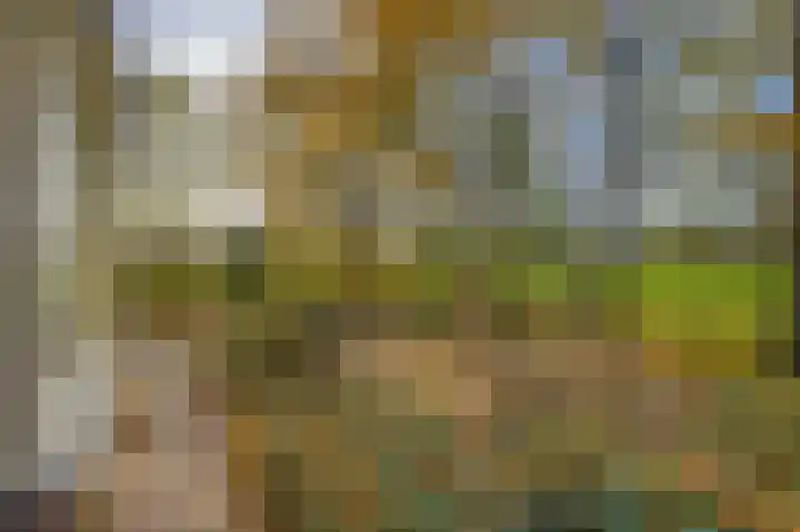 Buntweg 5 Schijndel thumbnail 55