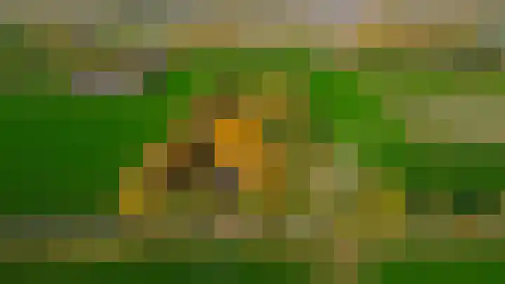 Buntweg 5 Schijndel thumbnail 57