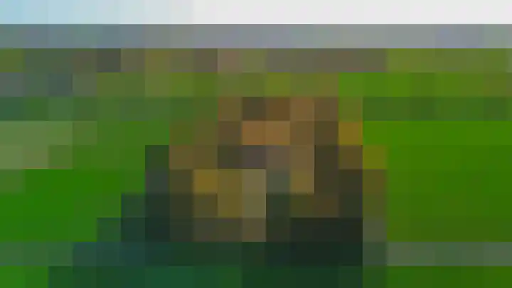 Buntweg 5 Schijndel thumbnail 59