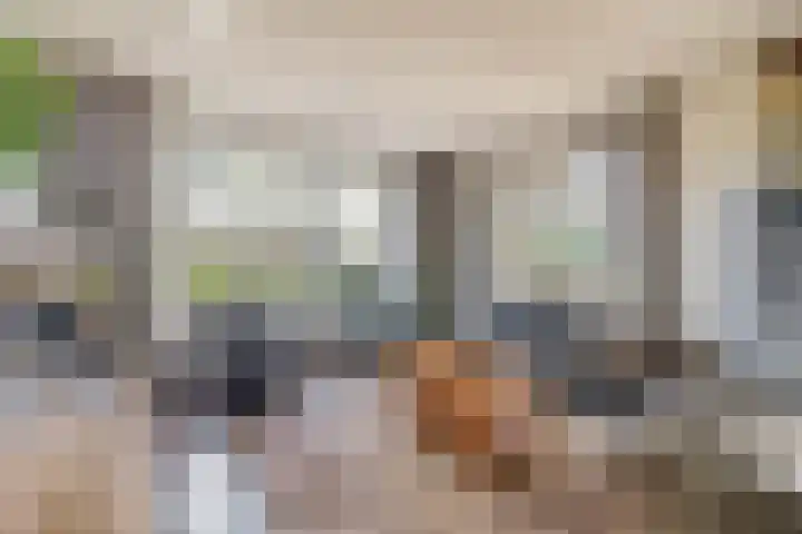 Buntweg 5 Schijndel thumbnail 6