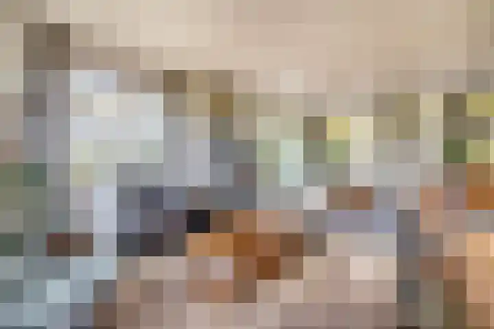 Buntweg 5 Schijndel thumbnail 7