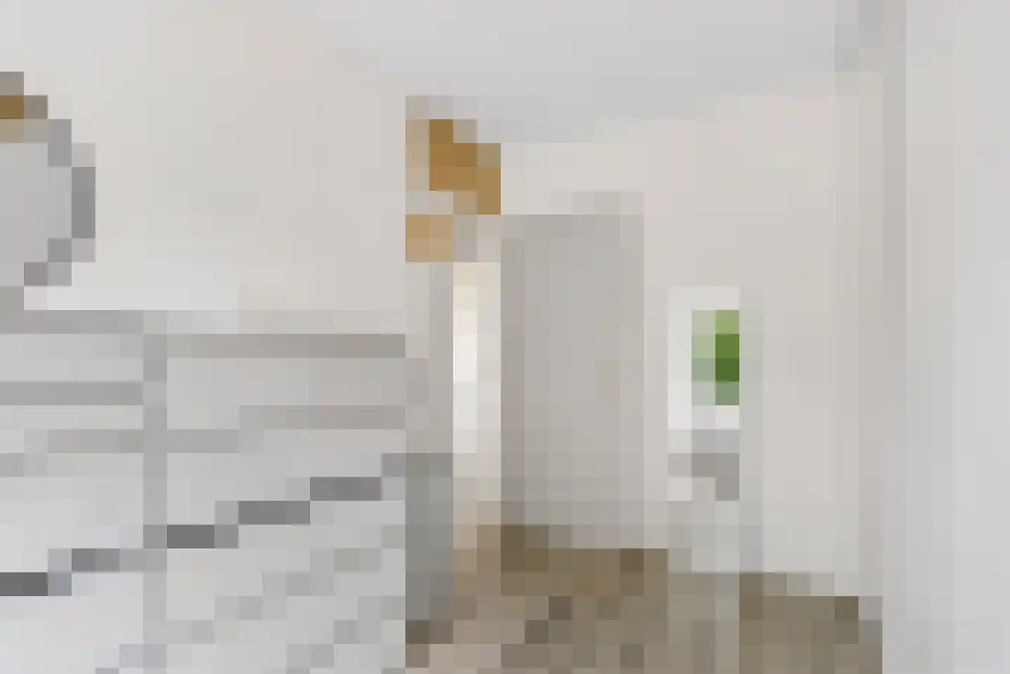 Buñuellaan 43 Almere thumbnail 30