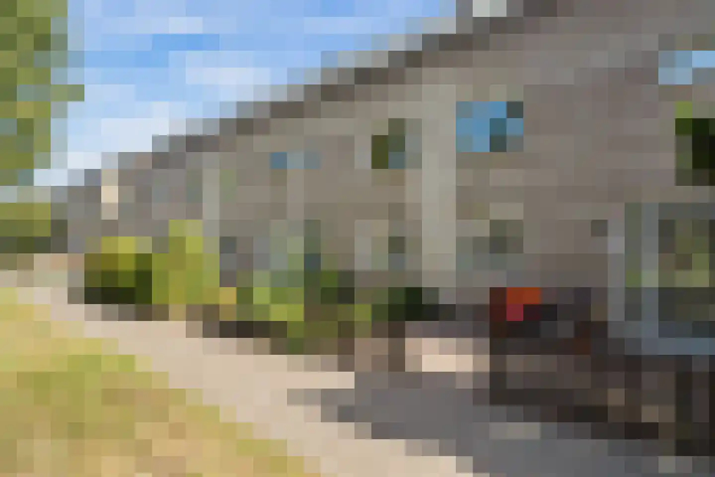 Buñuellaan 43 Almere thumbnail 41