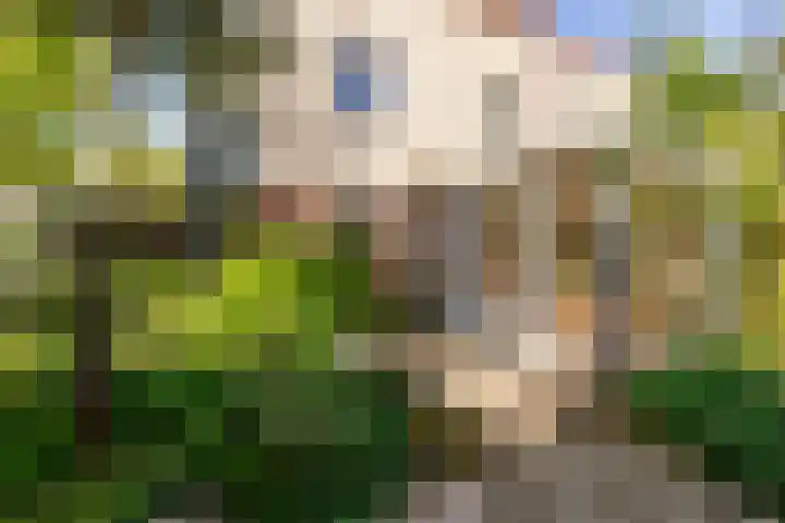 Buñuellaan 48 Almere thumbnail 29