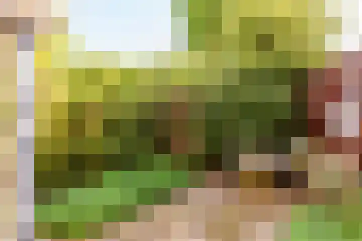 Buñuellaan 48 Almere thumbnail 30