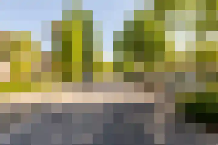 Buñuellaan 48 Almere thumbnail 32