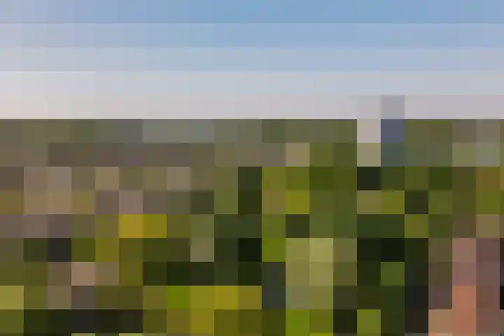 Buñuellaan 48 Almere thumbnail 34