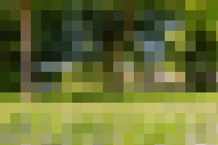 Buñuellaan 48 Almere thumbnail 42