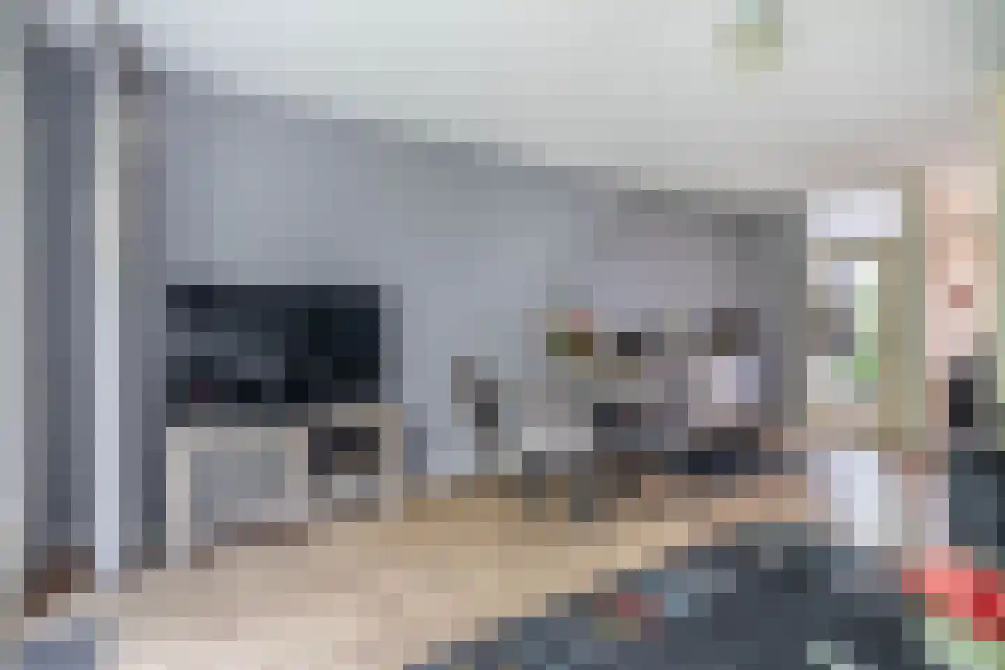 Bunuelstrook 19 Zoetermeer thumbnail 16