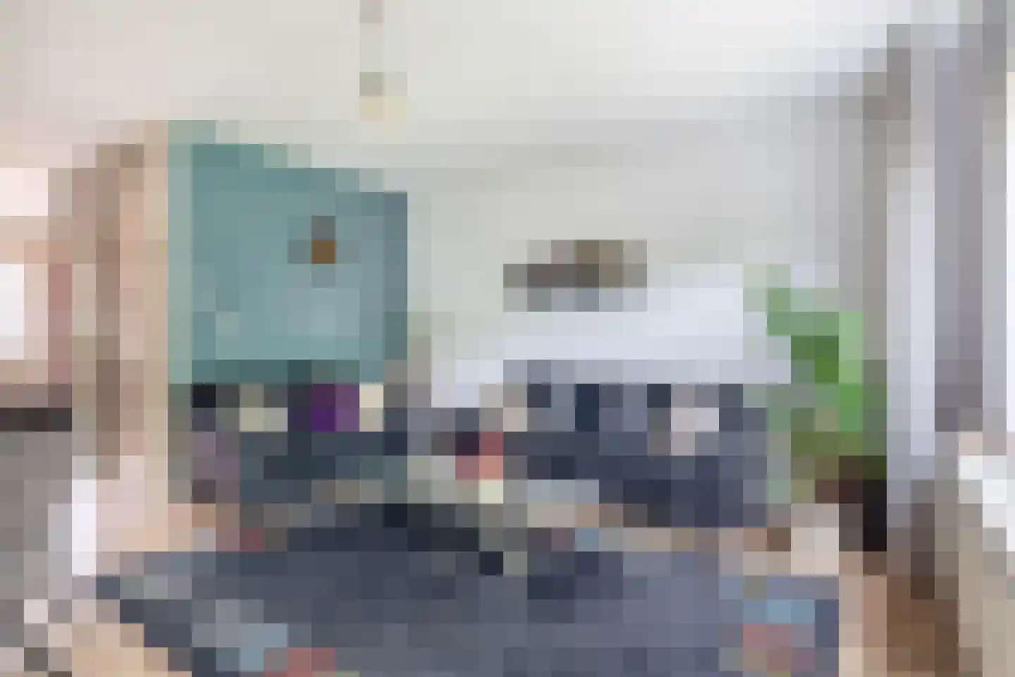 Bunuelstrook 19 Zoetermeer thumbnail 17