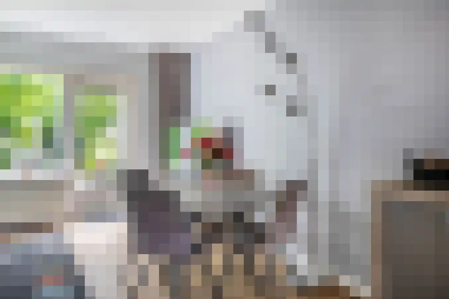 Bunuelstrook 19 Zoetermeer thumbnail 18