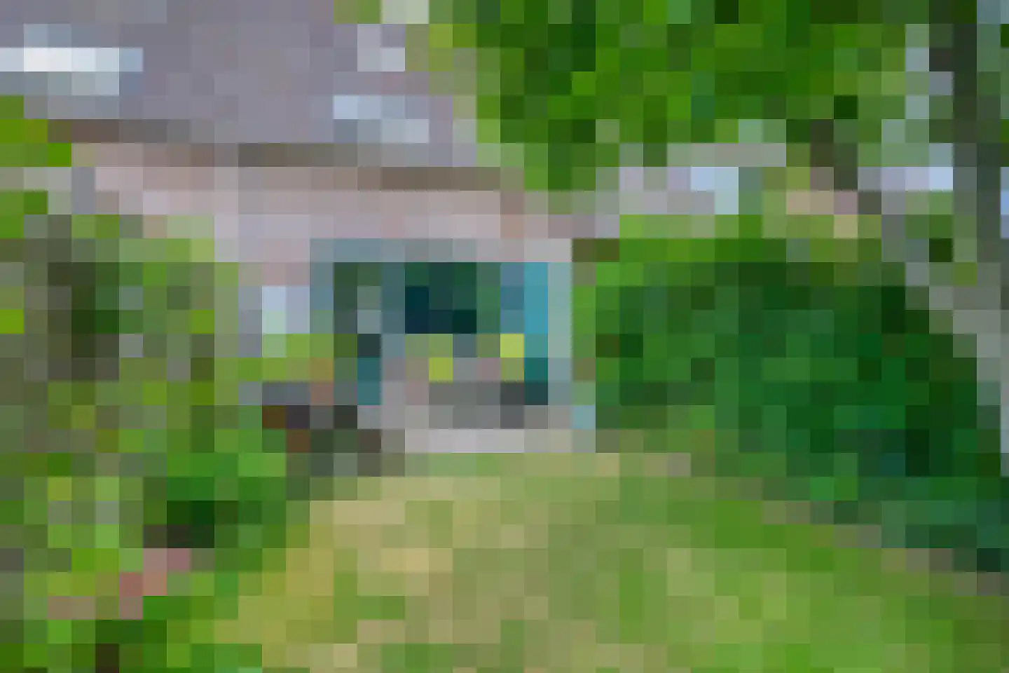 Bunuelstrook 19 Zoetermeer thumbnail 24