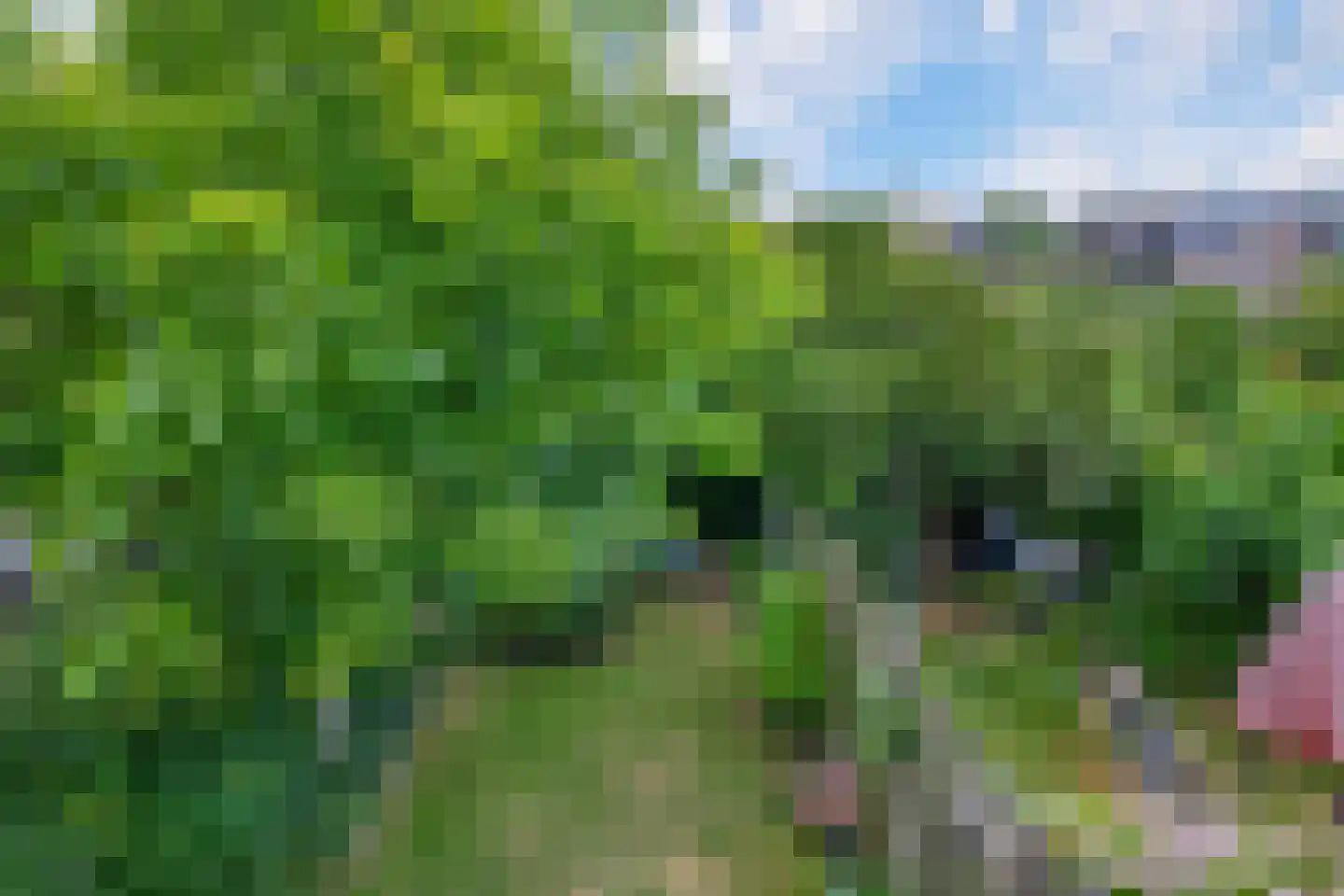 Bunuelstrook 19 Zoetermeer thumbnail 26