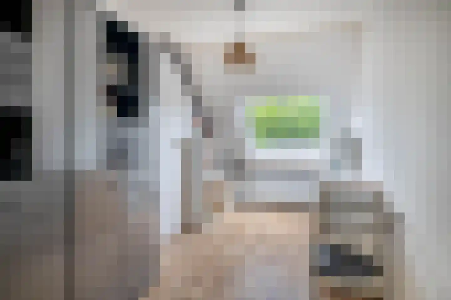 Bunuelstrook 19 Zoetermeer thumbnail 32