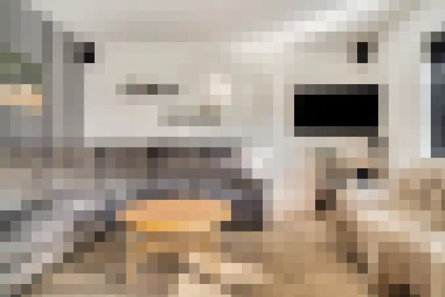 Bunuelstrook 25 Zoetermeer thumbnail 10