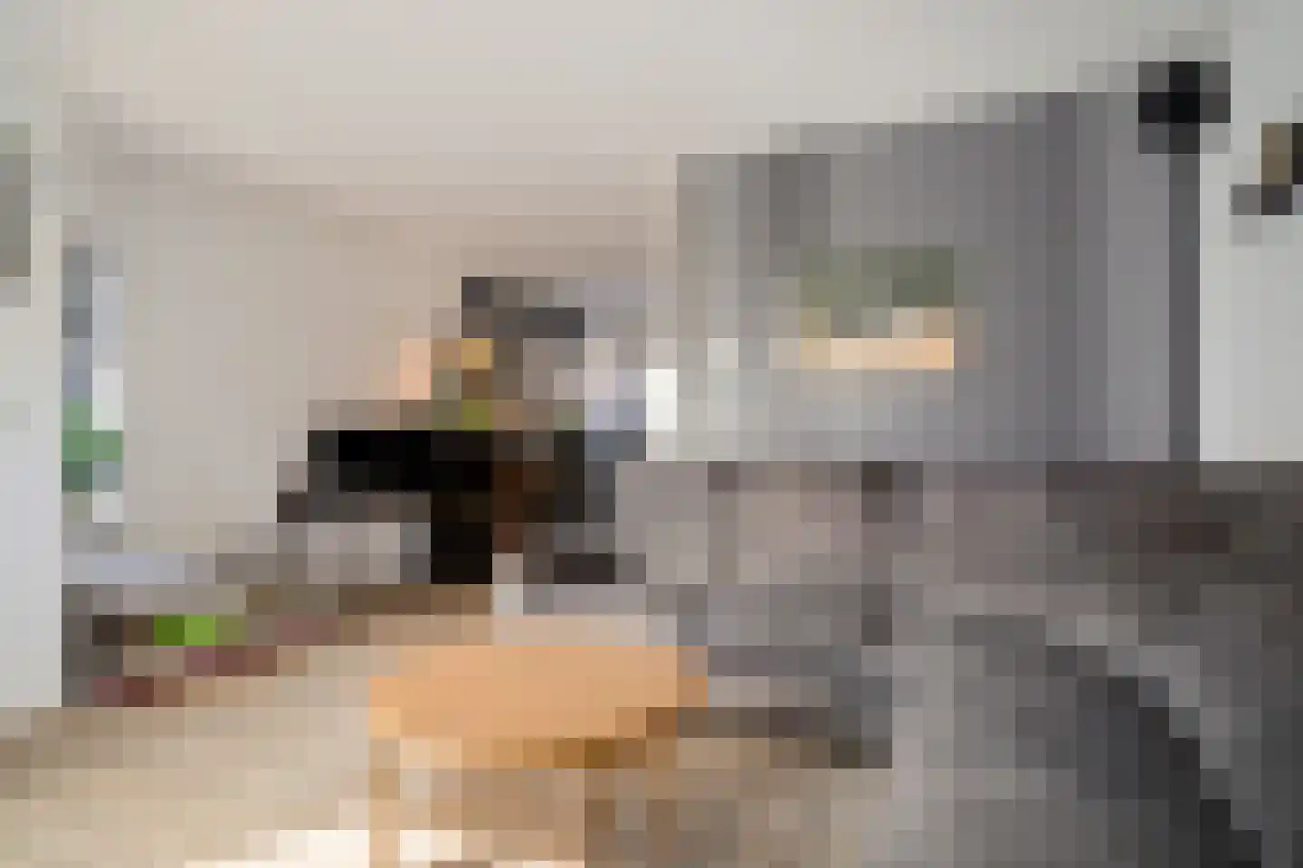 Bunuelstrook 25 Zoetermeer thumbnail 11