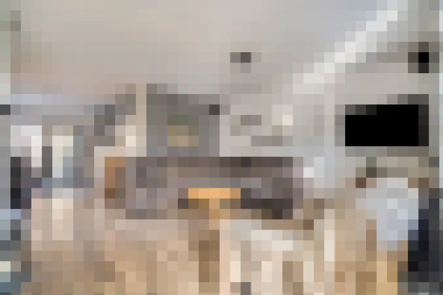Bunuelstrook 25 Zoetermeer thumbnail 12