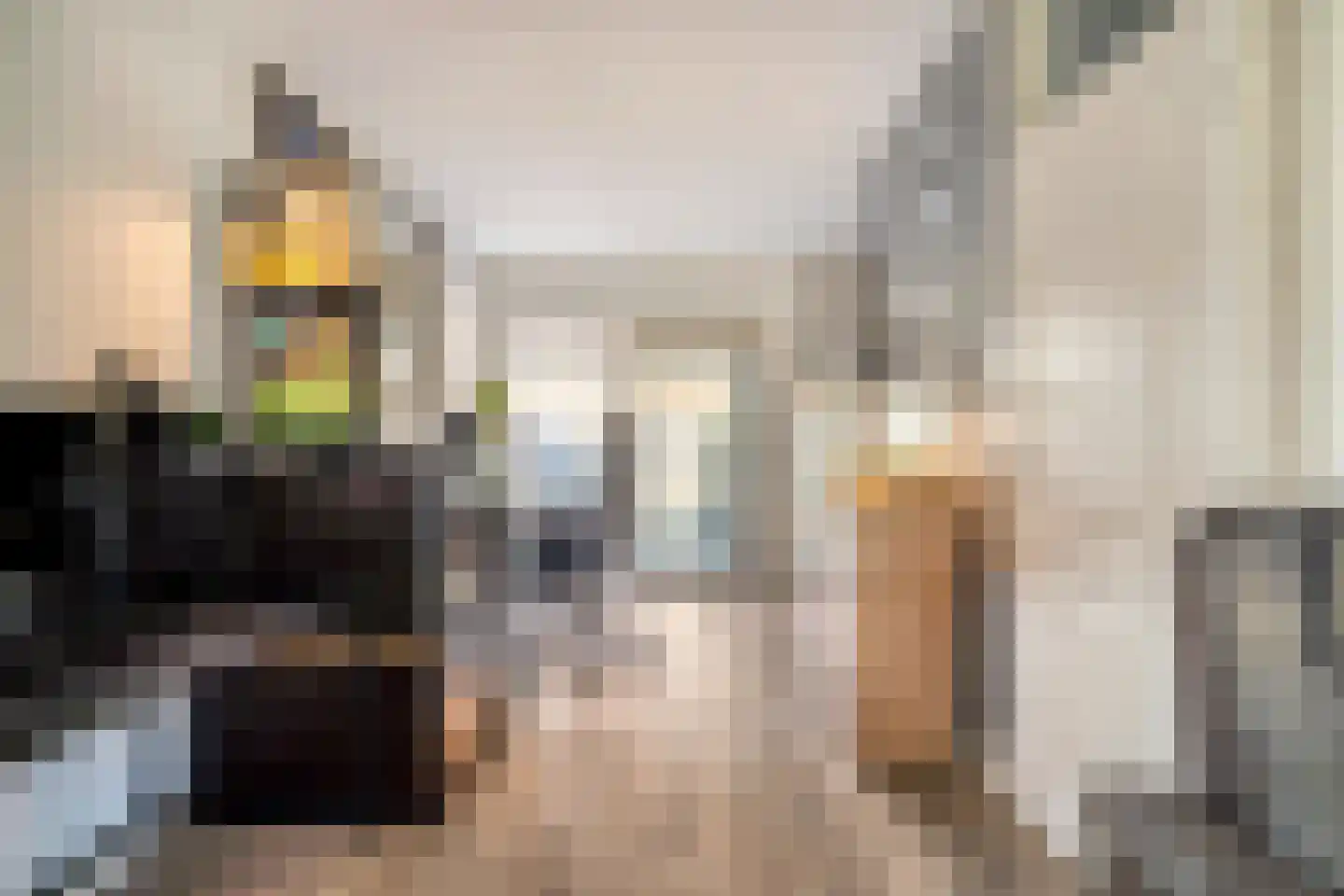 Bunuelstrook 25 Zoetermeer thumbnail 13