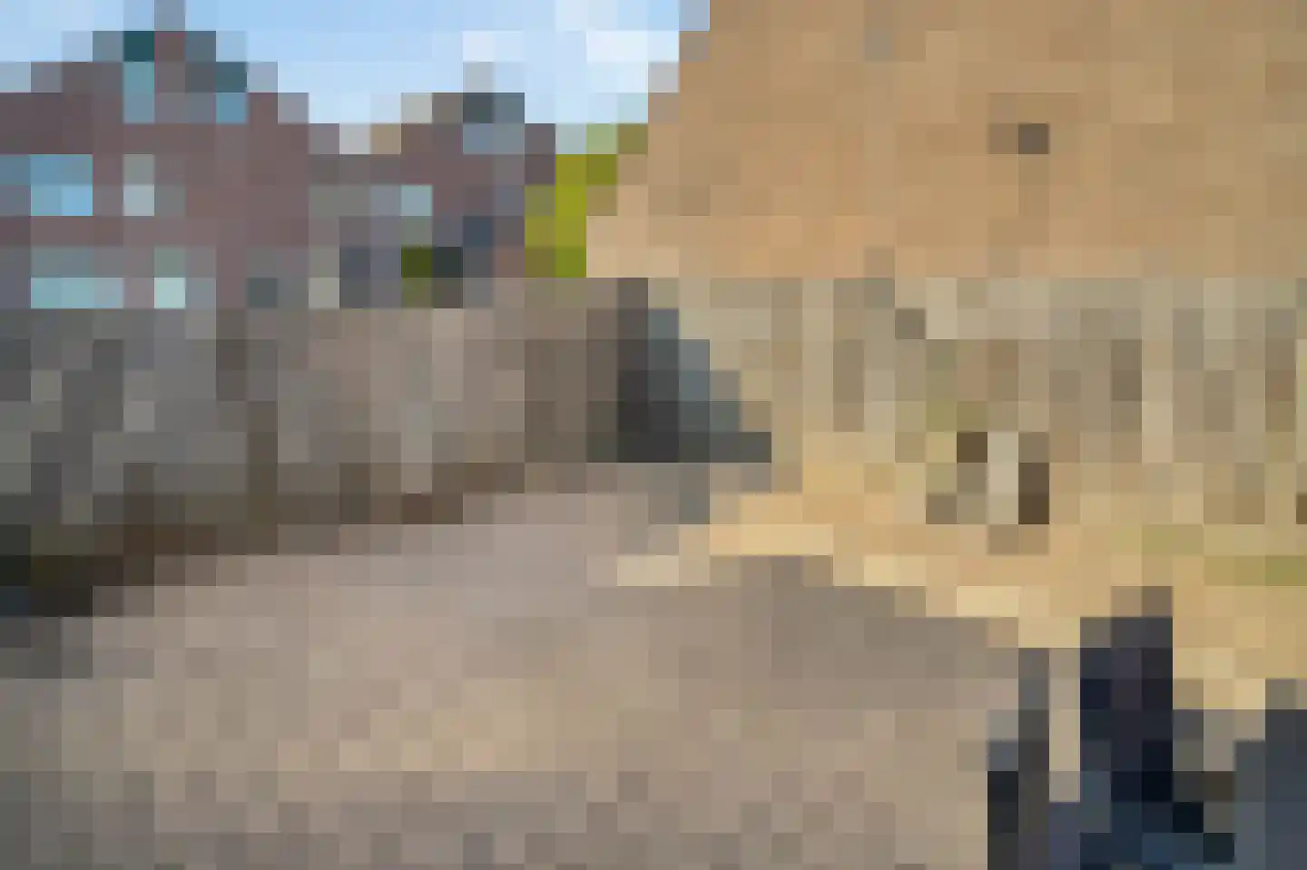 Bunuelstrook 25 Zoetermeer thumbnail 20
