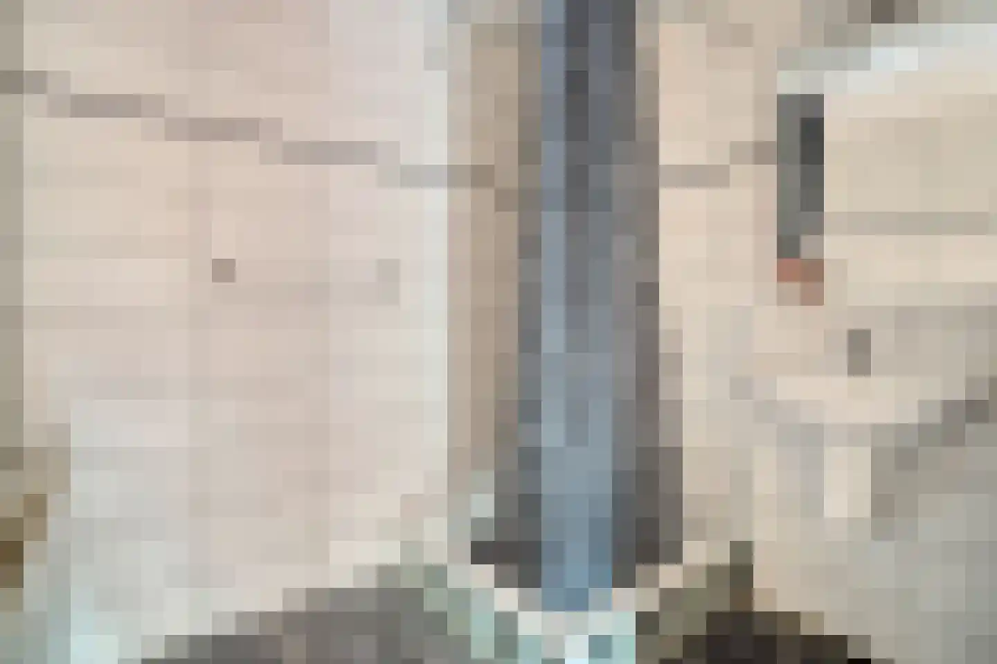 Bunuelstrook 25 Zoetermeer thumbnail 25