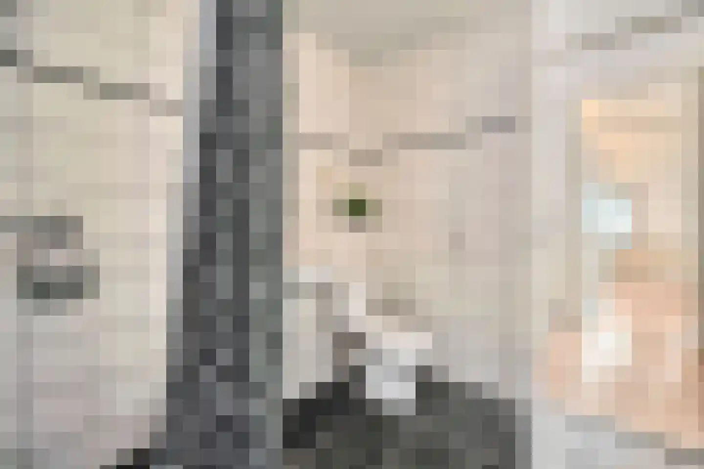 Bunuelstrook 25 Zoetermeer thumbnail 26