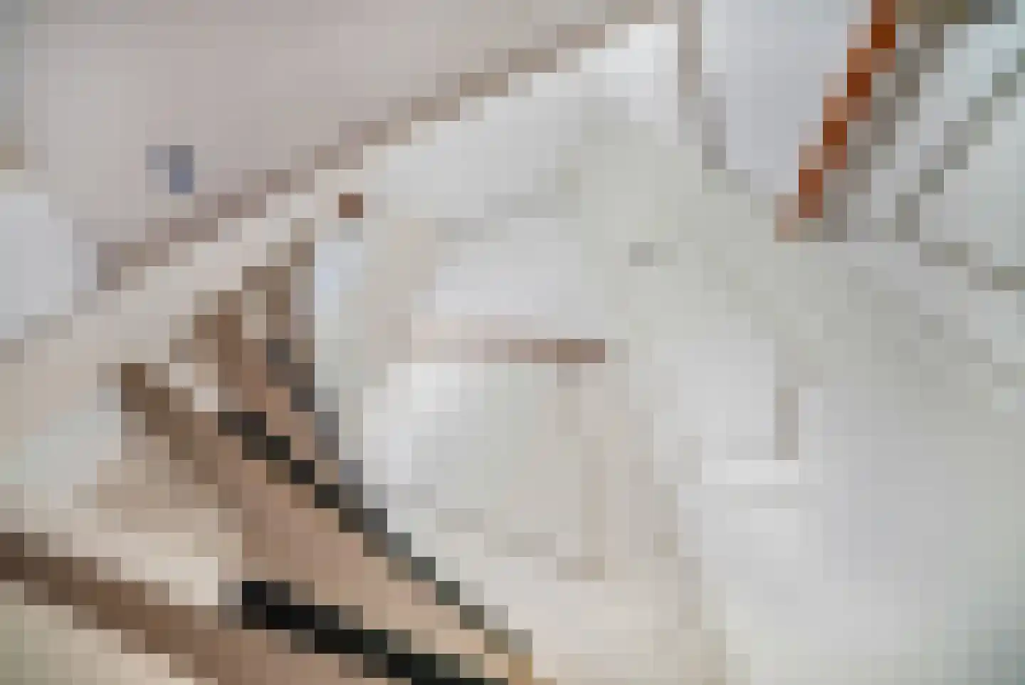 Bunuelstrook 25 Zoetermeer thumbnail 31