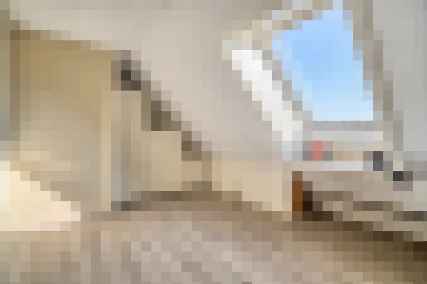 Bunuelstrook 25 Zoetermeer thumbnail 34