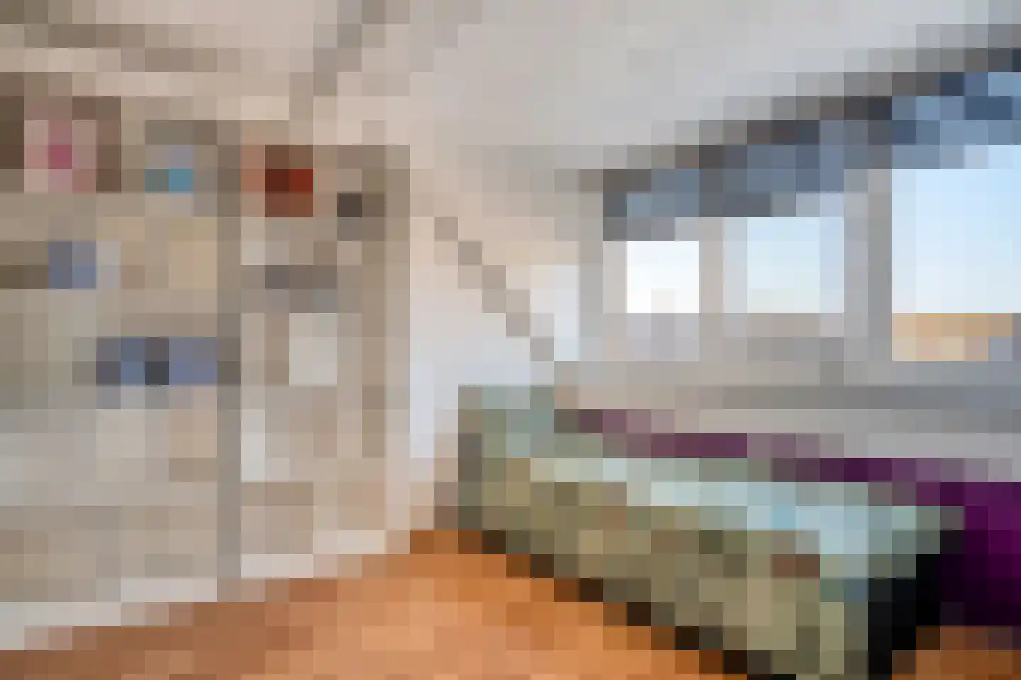 Bunuelstrook 25 Zoetermeer thumbnail 36