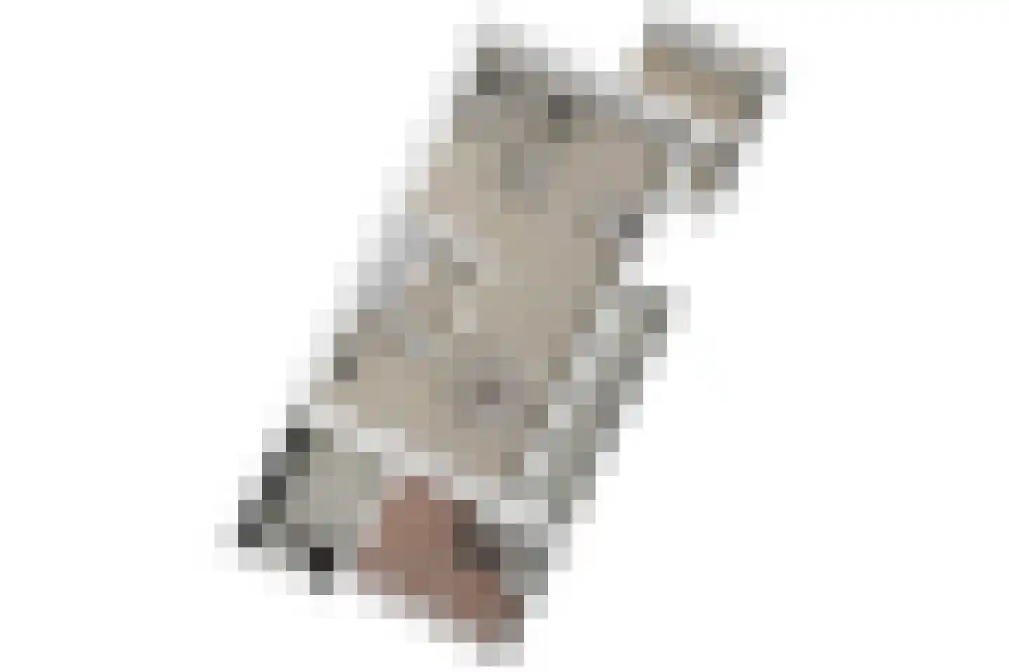 Bunuelstrook 25 Zoetermeer thumbnail 42