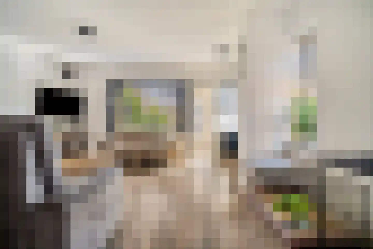 Bunuelstrook 25 Zoetermeer thumbnail 6