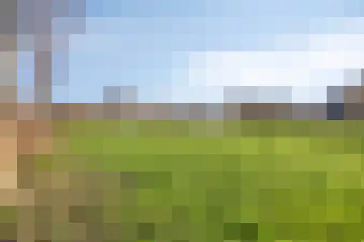 Bunuelstrook 93 Zoetermeer thumbnail 23