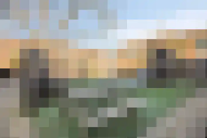 Bunuelstrook 93 Zoetermeer thumbnail 26