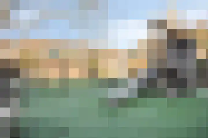 Bunuelstrook 93 Zoetermeer thumbnail 27