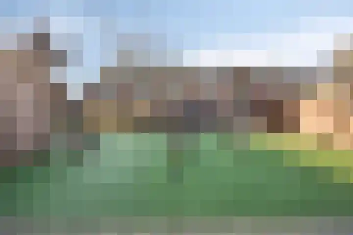 Bunuelstrook 93 Zoetermeer thumbnail 28
