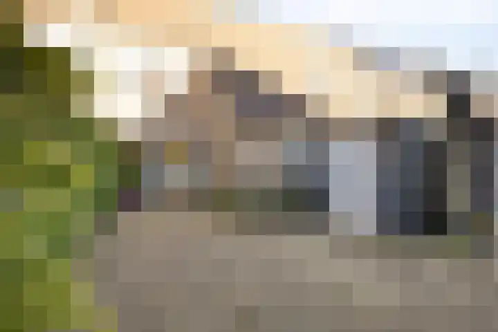 Bunuelstrook 93 Zoetermeer thumbnail 31