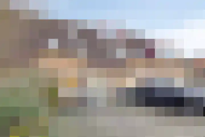 Bunuelstrook 93 Zoetermeer thumbnail 32