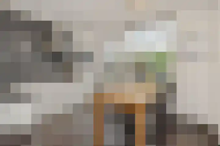 Bunzinghage 1 Berlicum thumbnail 12