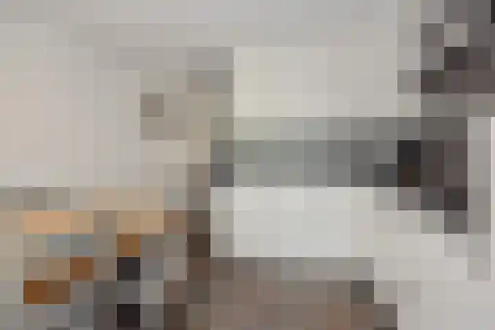Bunzinghage 1 Berlicum thumbnail 13