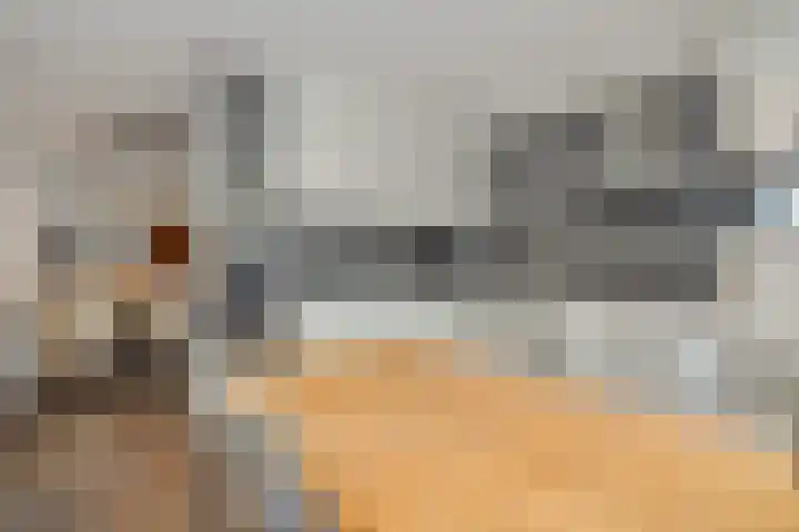 Bunzinghage 1 Berlicum thumbnail 14