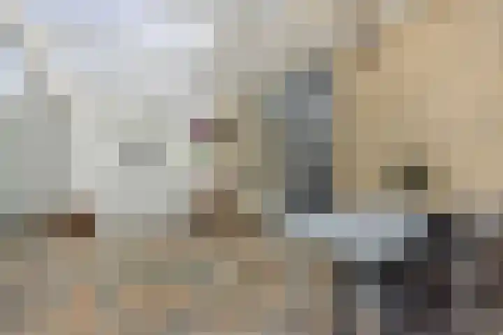 Bunzinghage 1 Berlicum thumbnail 16