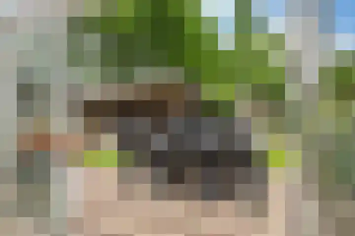 Bunzinghage 1 Berlicum thumbnail 17