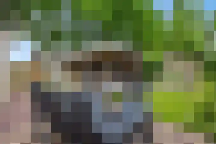 Bunzinghage 1 Berlicum thumbnail 18